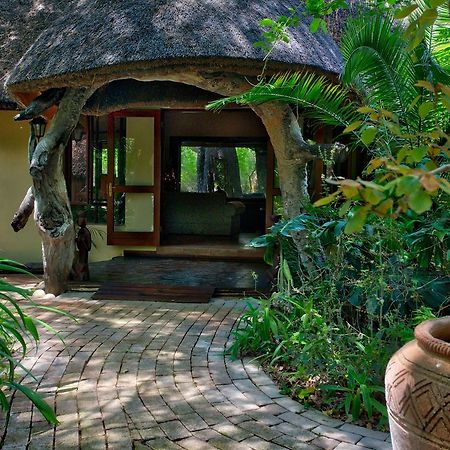 Royal Tree Lodge Maun Buitenkant foto