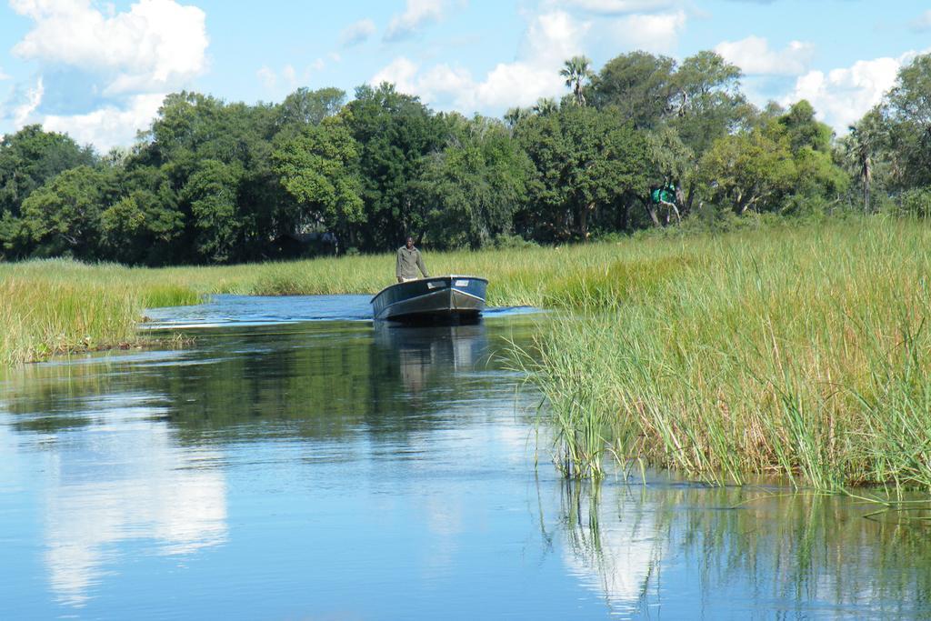 Royal Tree Lodge Maun Buitenkant foto