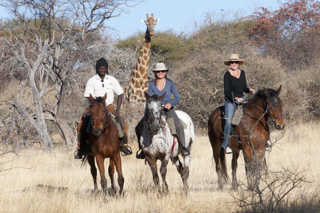 Royal Tree Lodge Maun Buitenkant foto