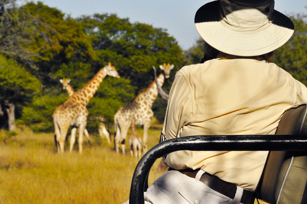 Royal Tree Lodge Maun Buitenkant foto