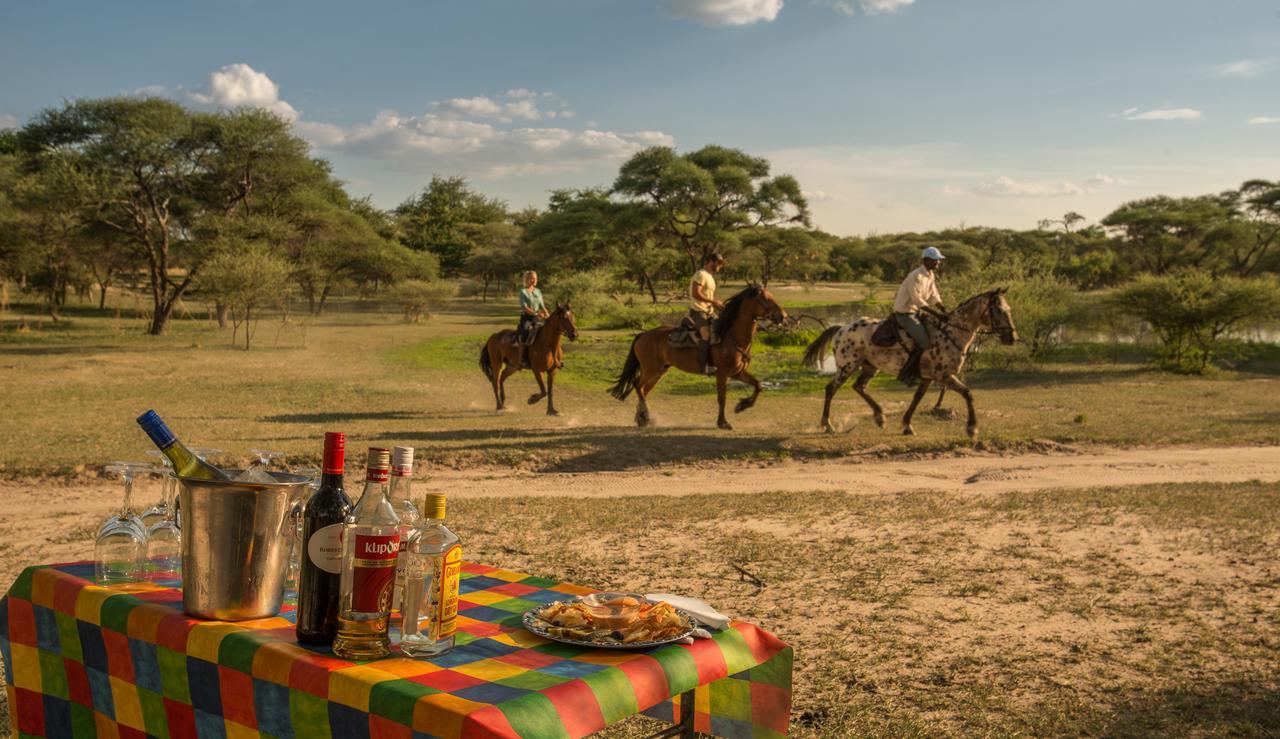 Royal Tree Lodge Maun Buitenkant foto
